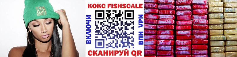 COCAIN Fish Scale  Шлиссельбург 