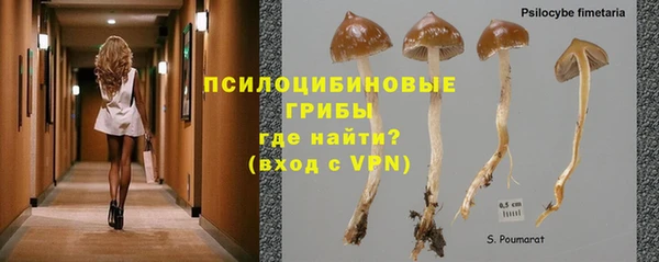 спиды Магас
