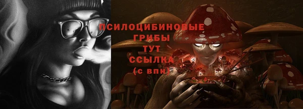 крисы Лихославль