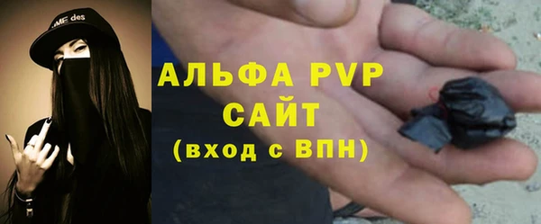 спиды Магас