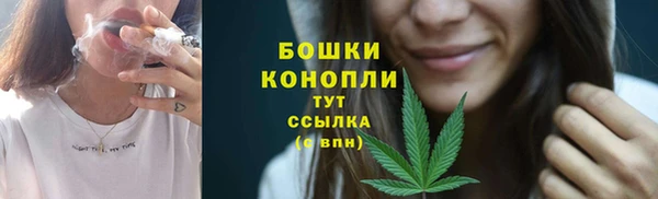 спиды Магас
